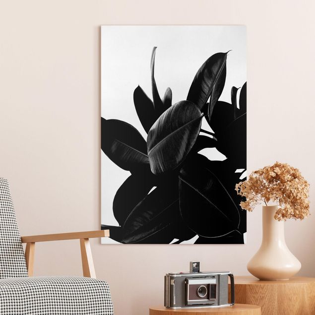 Quadro su tela fiori Albero di gomma in bianco e nero