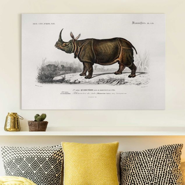 quadri con animali Bacheca Vintage Rinoceronte
