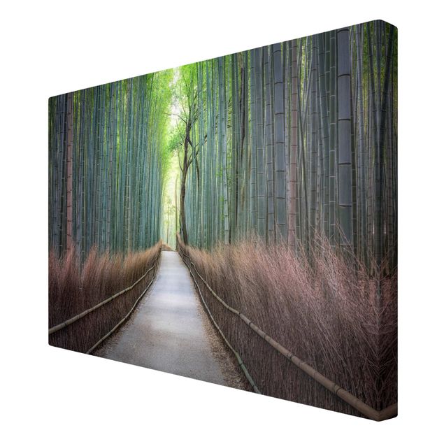 Quadri su tela Il sentiero attraverso il bambù