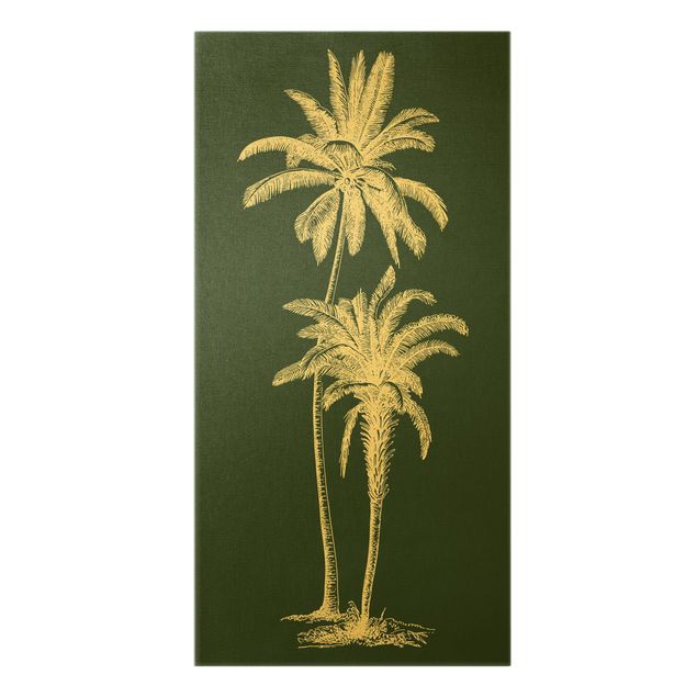 Stampe su tela Illustrazione Palme su verde