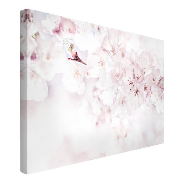 Stampa su tela Tocco di fiori di ciliegio