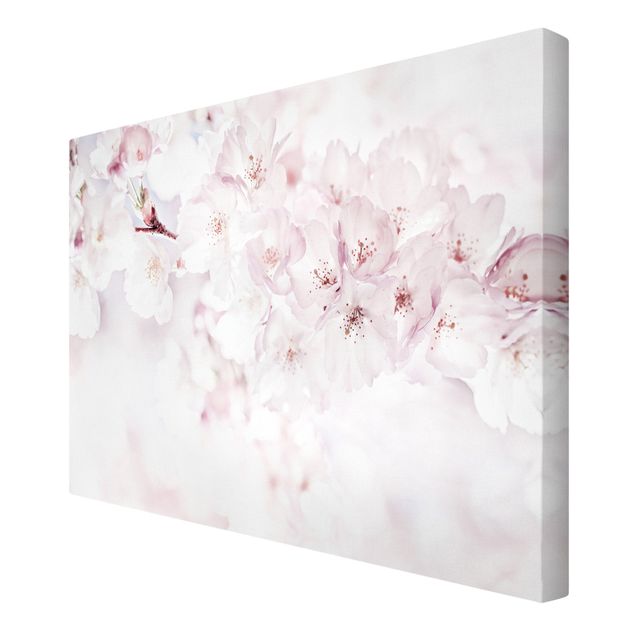 Quadro su tela - Tocco di fiori di ciliegio