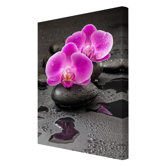 Stampa su tela - Pink Orchid Fiori Sulle Pietre Con Le Gocce - Verticale 3:2