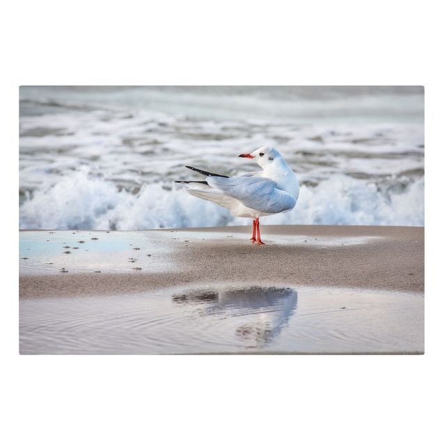 Stampe su tela animali Gabbiano sulla spiaggia di fronte al mare
