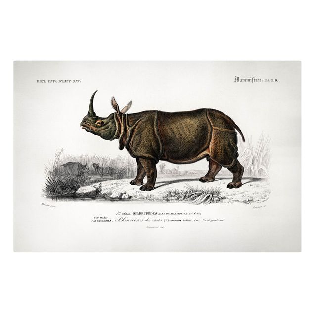Quadro su tela animali Bacheca Vintage Rinoceronte