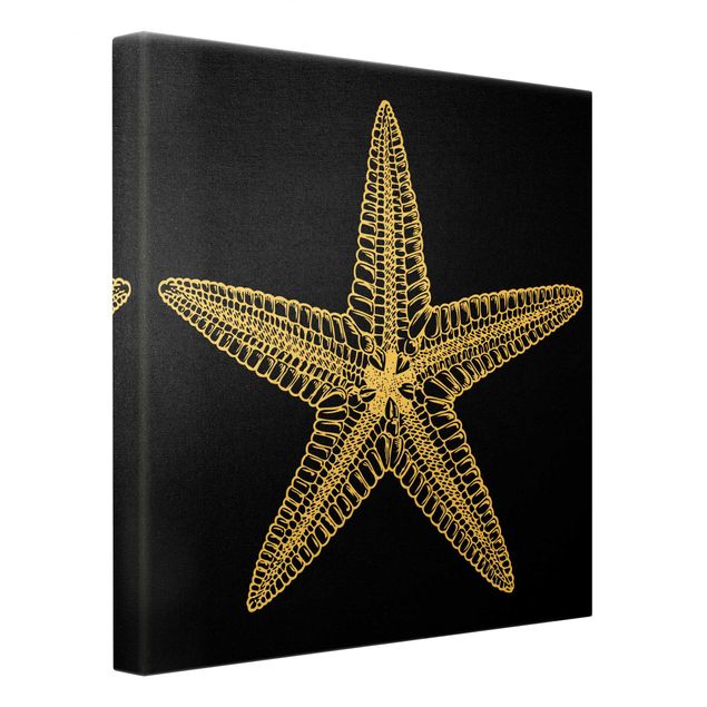 Quadro su tela oro - Illustrazione di stella marina su nero