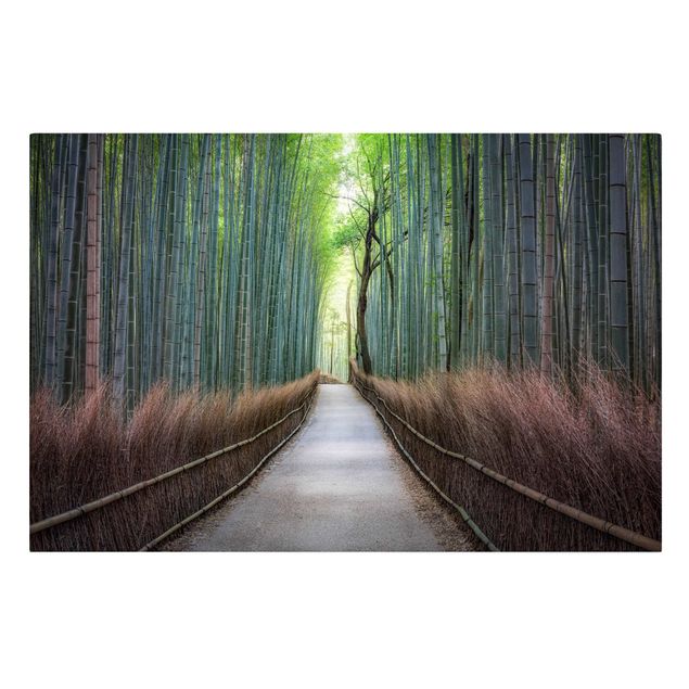 Quadri moderni per soggiorno Il sentiero attraverso il bambù