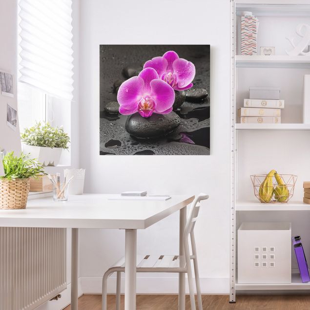 Quadro su tela fiori Fiore di orchidea rosa su pietra con gocce