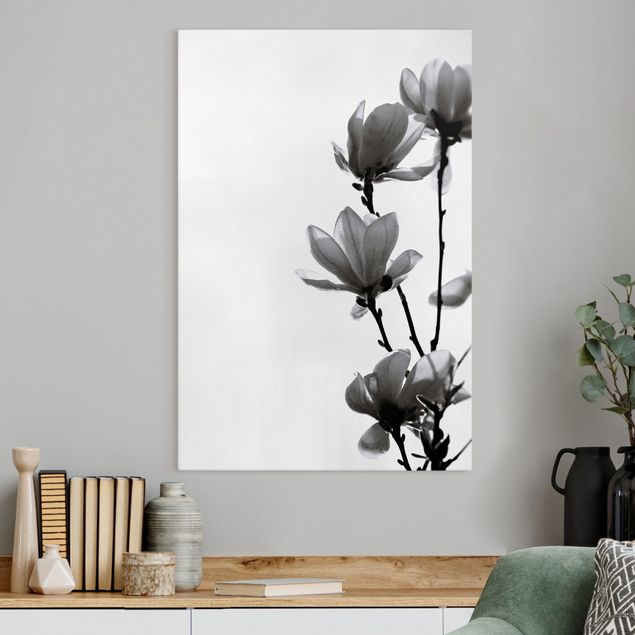 Quadro su tela fiori Magnolia araldo di primavera in bianco e nero