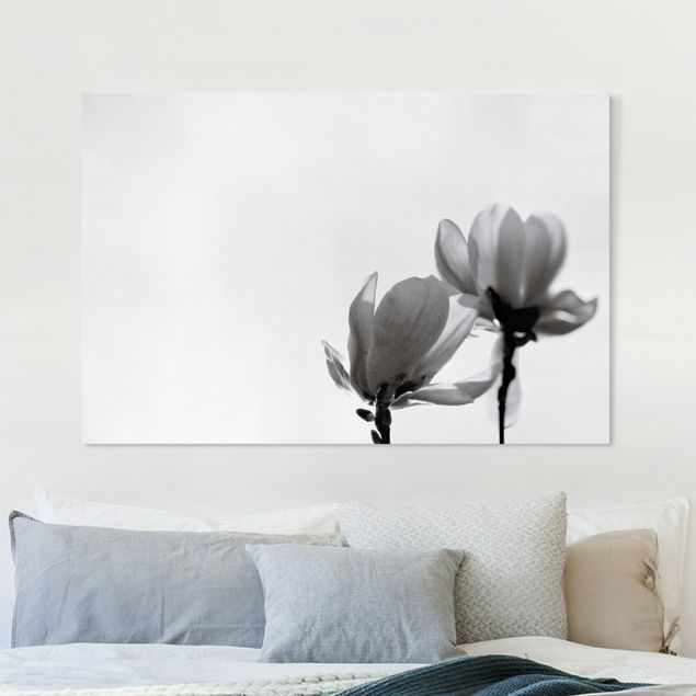 Quadro su tela fiori Magnolia araldo di primavera in bianco e nero