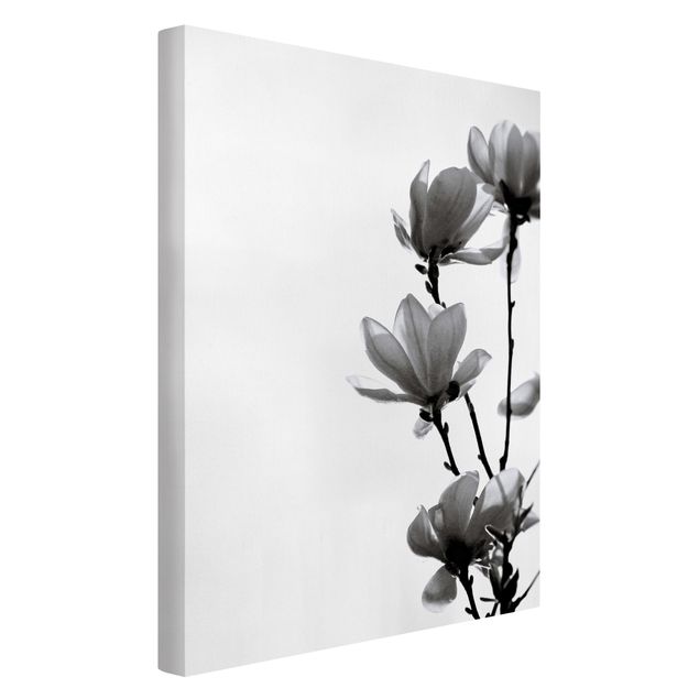 Quadri moderni per soggiorno Magnolia araldo di primavera in bianco e nero