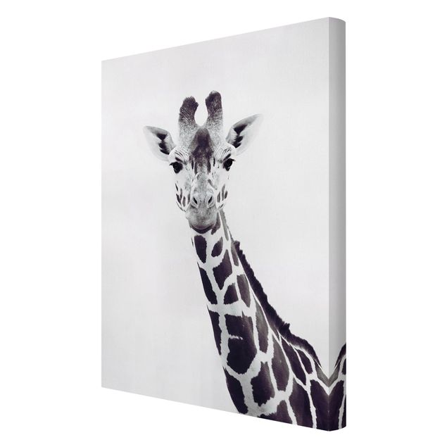 Quadri moderni per soggiorno Ritratto di giraffa in bianco e nero