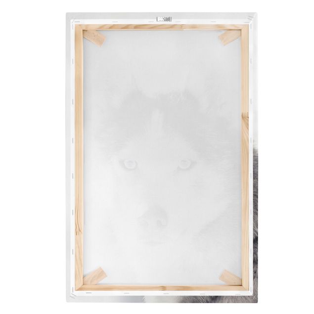 Quadro su tela - Ritratto di husky
