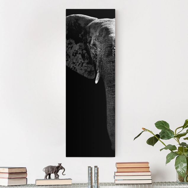 Quadri con elefanti Elefante africano in bianco e nero