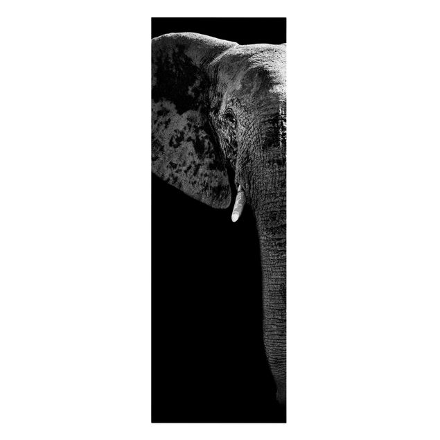 Quadri su tela animali Elefante africano in bianco e nero