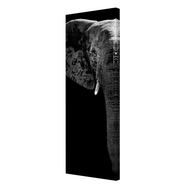 Quadri moderni per soggiorno Elefante africano in bianco e nero