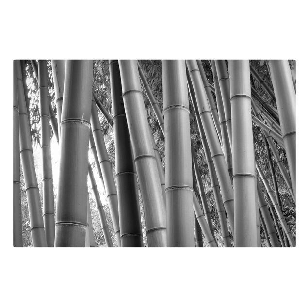 Quadri moderni per soggiorno Bamboo