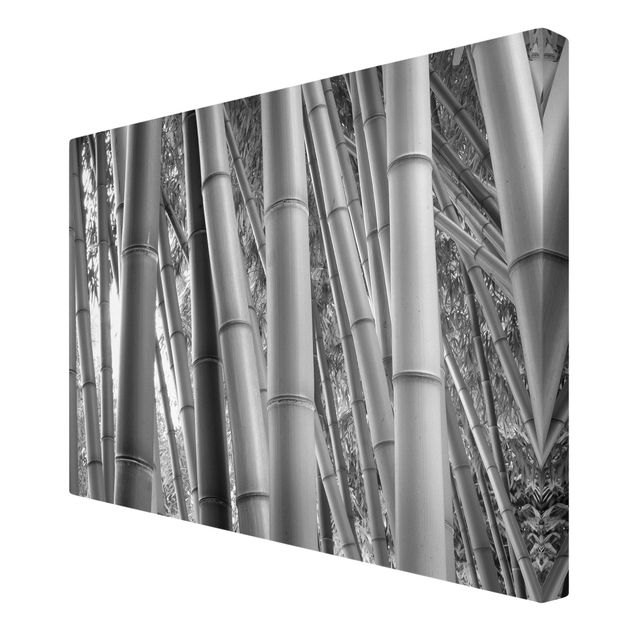 Stampe su tela Bamboo