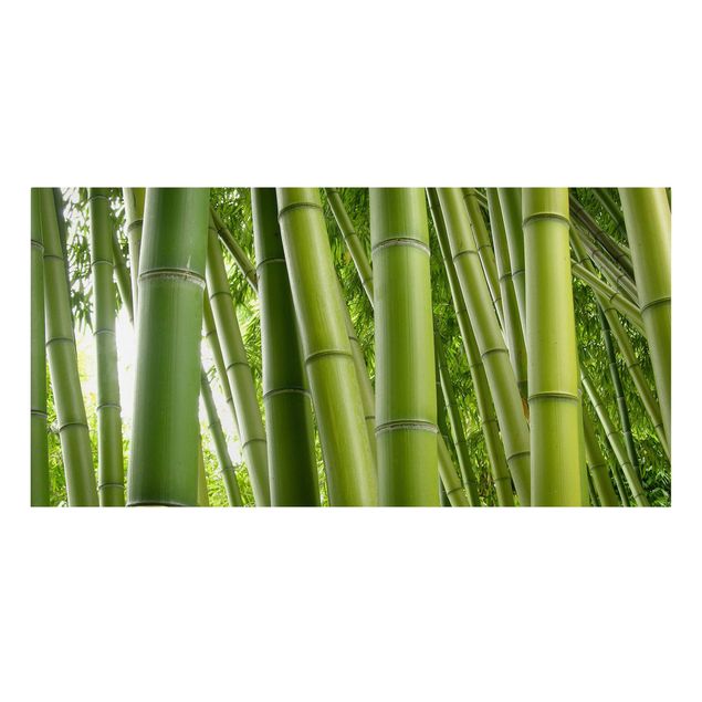 Stampa su tela Alberi di bambù