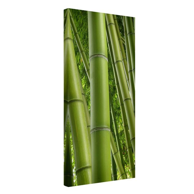Quadri moderni per soggiorno Alberi di bambù