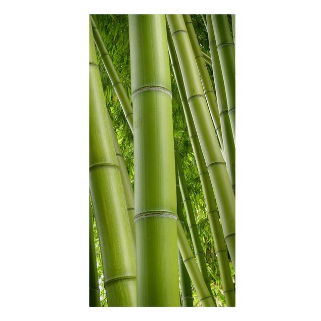 Stampe su tela Alberi di bambù