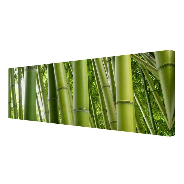 Stampa su tela - Bamboo Trees - Panoramico
