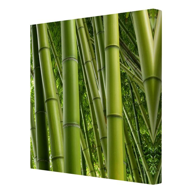 Stampa su tela - Bamboo Trees - Quadrato 1:1
