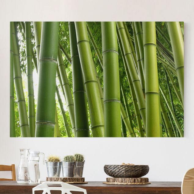 Tela bamboo Alberi di bambù