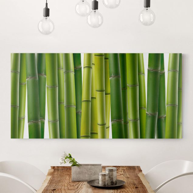 Tela bamboo Piante di bambù