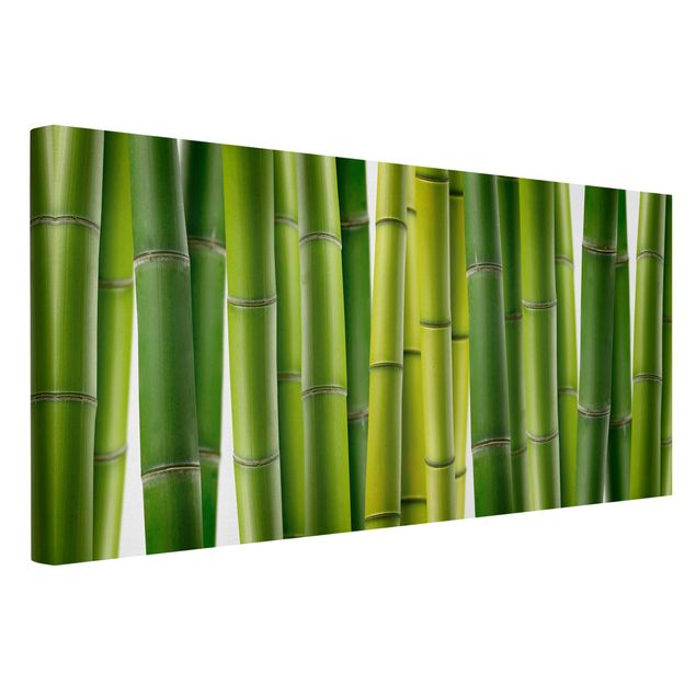 Stampe su tela paesaggio Piante di bambù