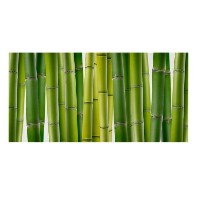 Quadri moderni per soggiorno Piante di bambù