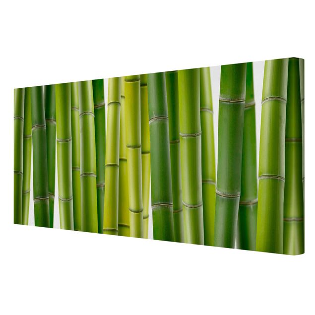 Stampa su tela Piante di bambù