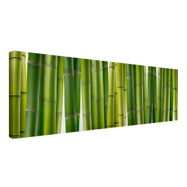 Quadri su tela paesaggio Piante di bambù