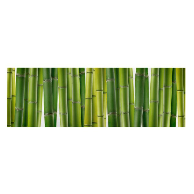 Quadri moderni per soggiorno Piante di bambù