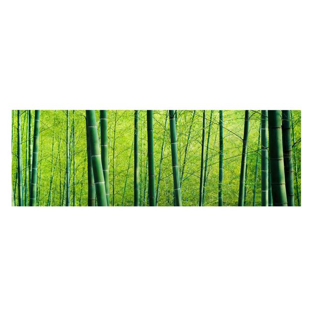 Stampe su tela Foresta di bambù n.2
