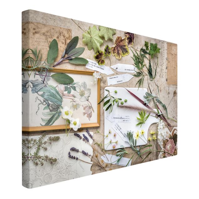 Stampa su tela - Flowers And Garden Herbs Vintage - Orizzontale 3:2