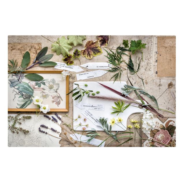 Stampa su tela - Flowers And Garden Herbs Vintage - Orizzontale 3:2