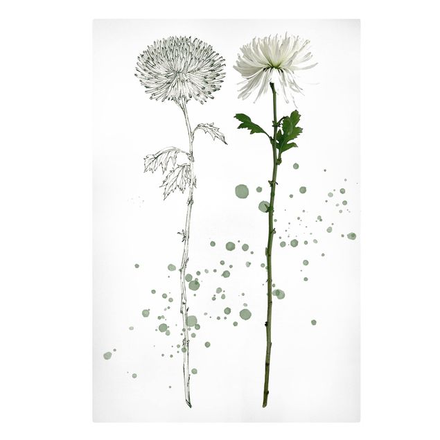 Stampa su tela - Acquerello Botanico - Dandelion - Verticale 2:3