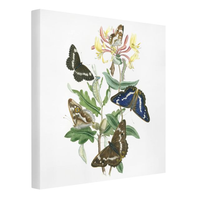 Stampe su tela fiori Farfalle britanniche IV