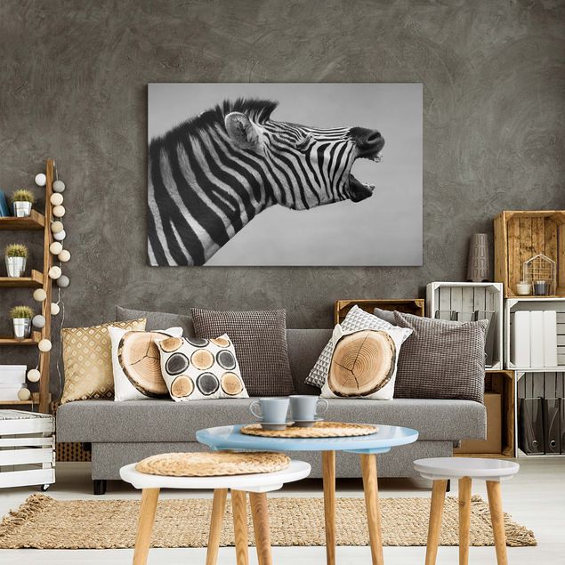 Tela zebra Zebra ruggente ll