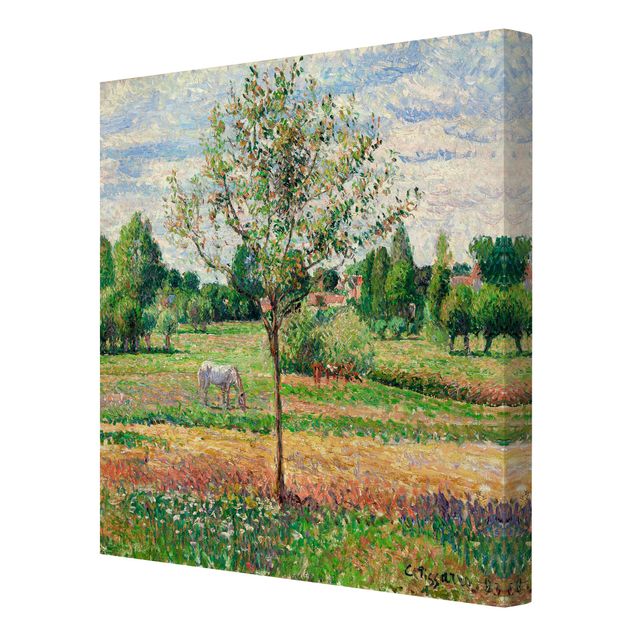 Stampa su tela - Camille Pissarro - Meadow with Grey Horse, Eragny - Quadrato 1:1