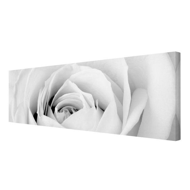 Stampa su tela - Close Up Rose - Panoramico