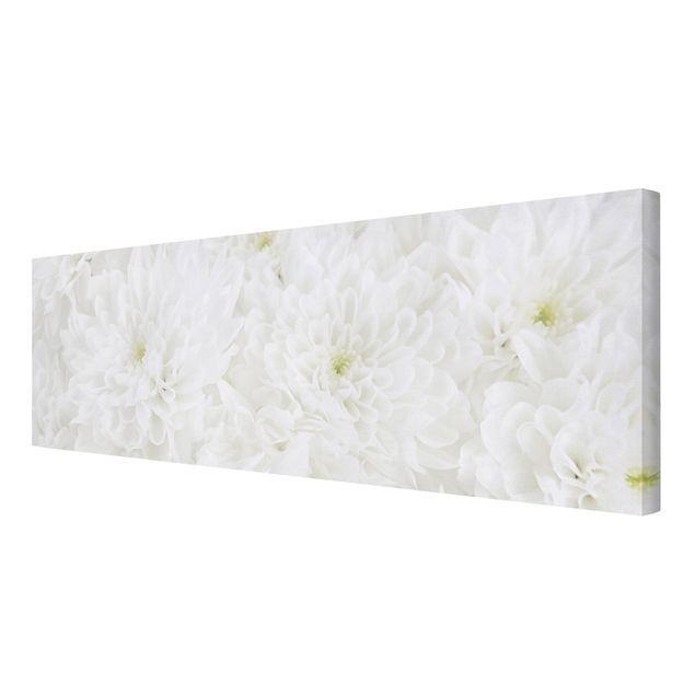 Stampa su tela - Dahlias sea of flowers white - Panoramico