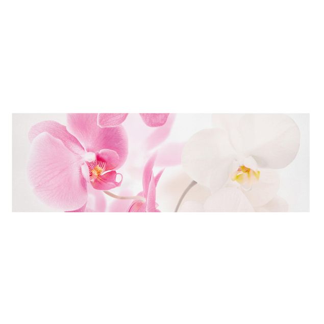 Stampa su tela - Delicate Orchids - Panoramico