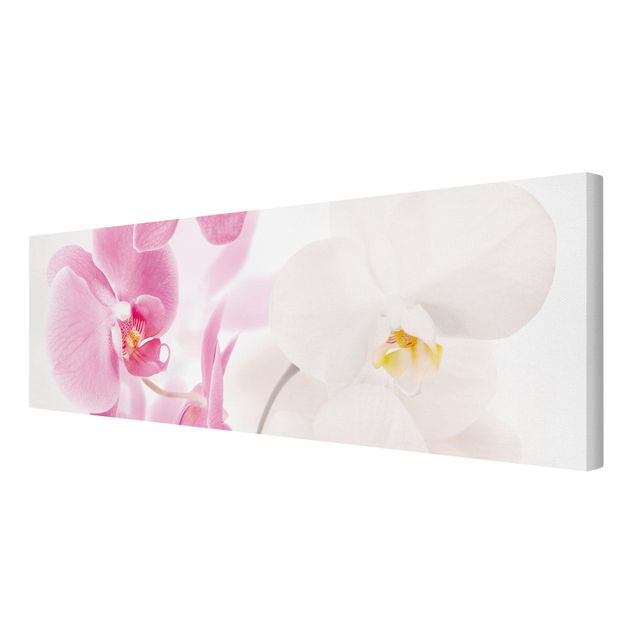 Stampa su tela - Delicate Orchids - Panoramico