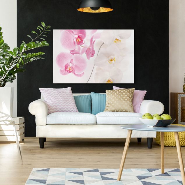 Quadri moderni per soggiorno Orchidee delicate