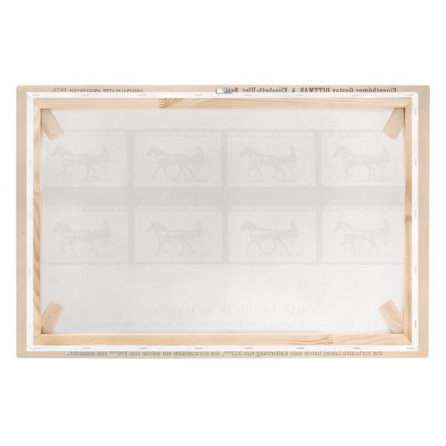 Stampa su tela - Eadweard Muybridge - The horse in Motion - Orizzontale 3:2