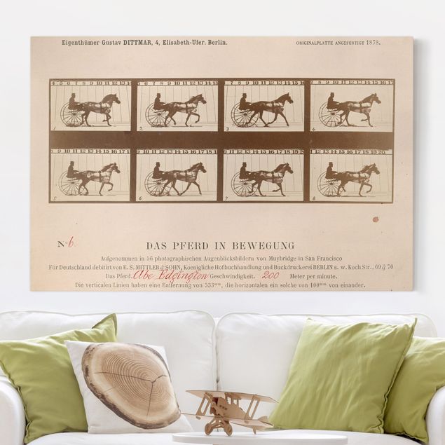 quadri con animali Eadweard Muybridge - Il cavallo in movimento