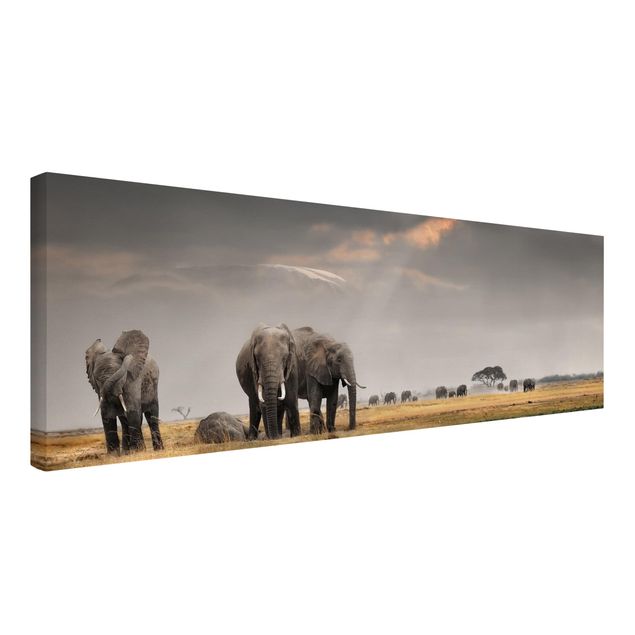Stampe su tela paesaggio Elefanti nella savana