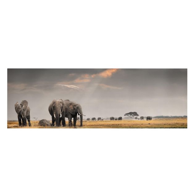 Quadro su tela animali Elefanti nella savana